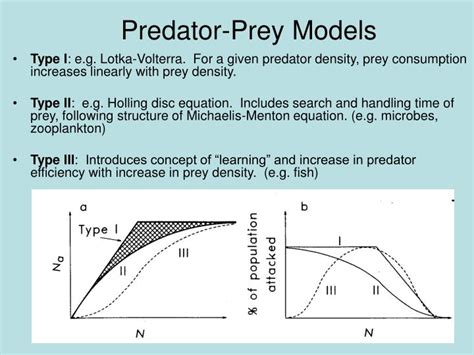 lv predation model|predator prey model examples.